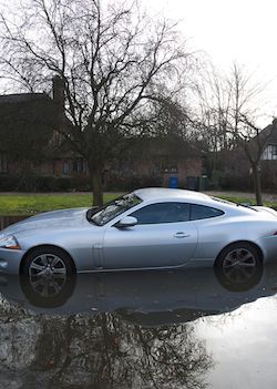 The flooding has also affected Jaguars