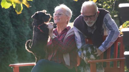Old couple with dogs