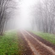 Country track
